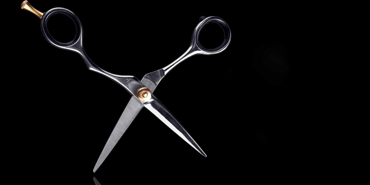 5 Types of Hair Brushes You Need to Use